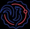Roundnet France